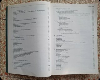 Malattie del sangue e degli organi ematopoietici