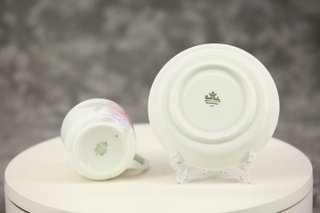 Taza y plato Rosenthal Isolde porcelana