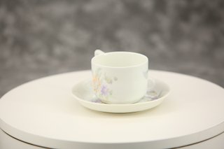 Taza y plato Rosenthal Isolde porcelana