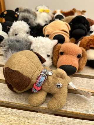 Colección Perritos de Peluche