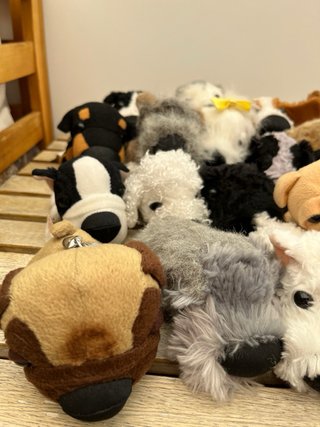 Colección Perritos de Peluche