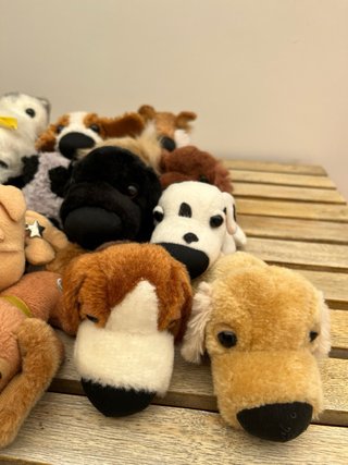 Colección Perritos de Peluche