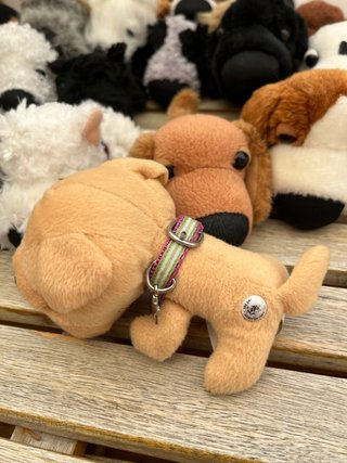 Colección Perritos de Peluche