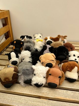 Colección Perritos de Peluche