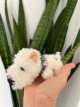 Colección Perritos de Peluche
