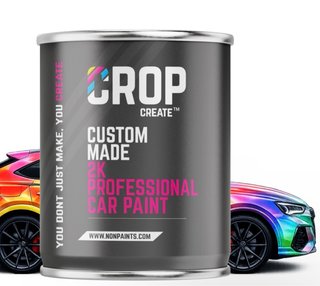 Pintura Coche Gris Nardo  Profesional