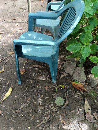 Sillas de Plástico Verdes