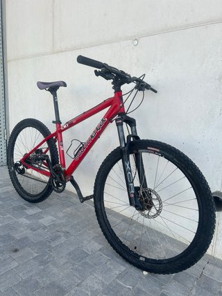 Bicicleta montaña
