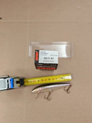 Esca artificiale da pesca Rapala 11 cm