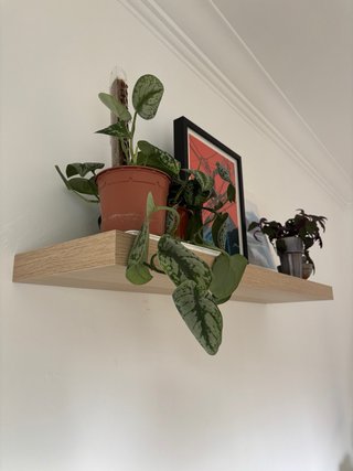 Estante de pared LACK madera
