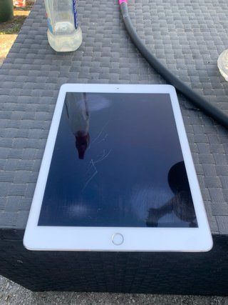 iPad Pro 9.7 256GB Blanco