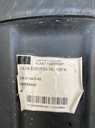 Lote de macetas de plástico gigante 35 L