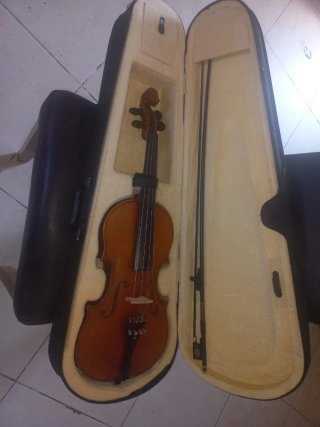 Violín antiguo con funda