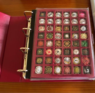 Colección de 209 chapas de botellas de cava