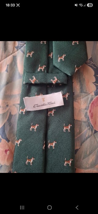 Corbata Emilio Tucci verde