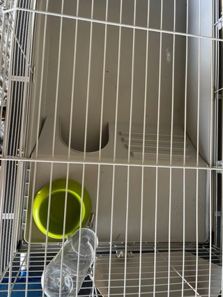 Gaiola para coelhos
