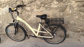 Bicicletta elettrica a pedalata assistita unisex