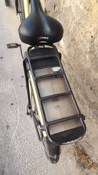 Bicicletta elettrica a pedalata assistita unisex