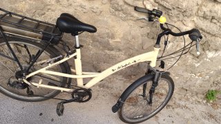 Bicicletta elettrica a pedalata assistita unisex