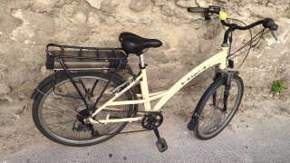 Bicicletta elettrica a pedalata assistita unisex
