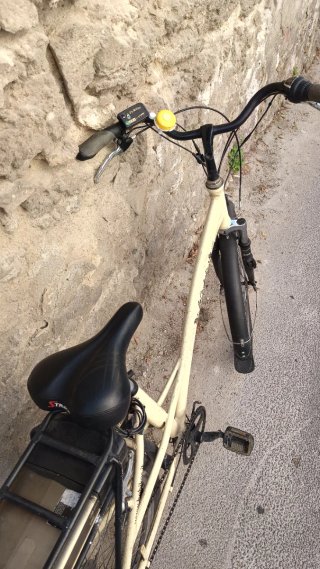 Bicicletta elettrica a pedalata assistita unisex