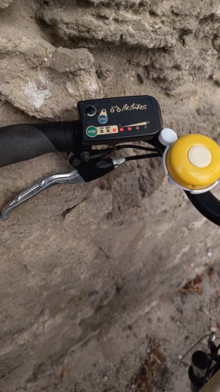 Bicicletta elettrica a pedalata assistita unisex