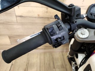 DUCATI MONSTER 696 LIMITADA A2
