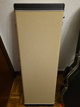 Fender Stratocaster Eric Johnson