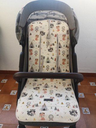 Carro de bebé Asalvo