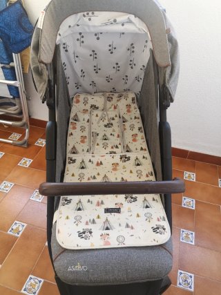 Carro de bebé Asalvo