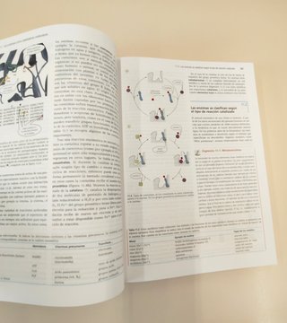Bioquímica. Fundamentos para Medicina y Ciencias