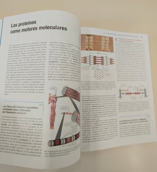 Bioquímica. Fundamentos para Medicina y Ciencias