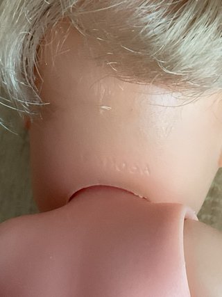 Barriguita pelo liso
