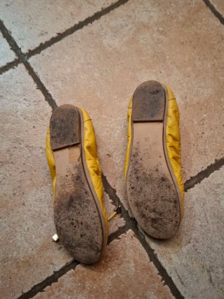 Pascucci Ballerine Pelle Giallo Senape 36