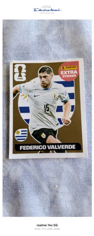Cromos Panini Mundial Federico Valverde