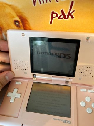 Nintendo DS Fat Rosa