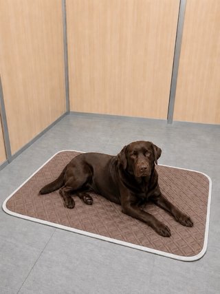 Alfombra Refrescante para Perros