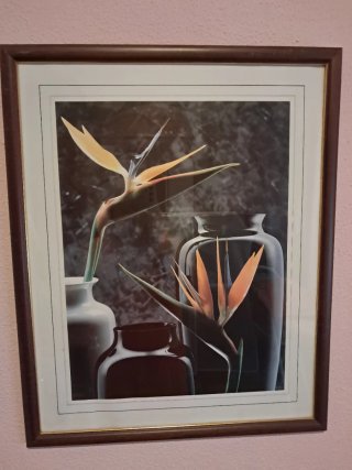 Cuadro Flores Tropicales Bird of Paradise