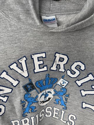 Sudadera University Brussels Gris