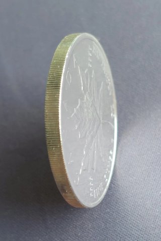 Moneda Plata Maple Leaf 1 Oz 1993