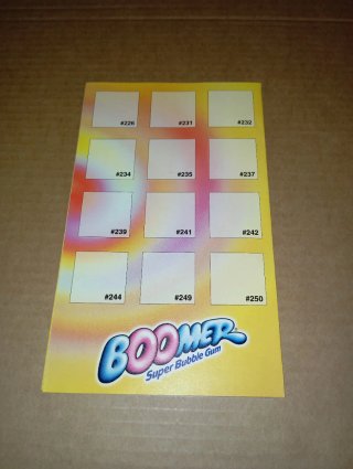 Álbum Pokémon Boomer