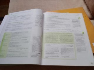 Término, Lengua, Bachillerato