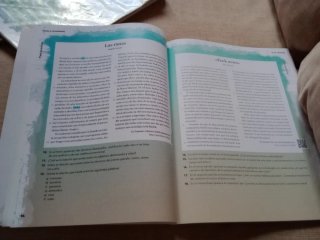 Término, Lengua, Bachillerato