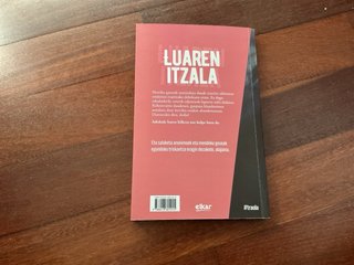 Luaren itzala