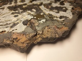 Ematite Botroidale | Minerale Grezzo |