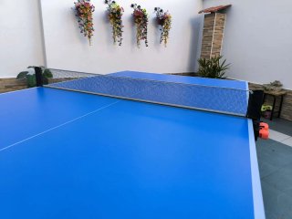 Mesa Ping Pong Exterior Decathlon Pongori