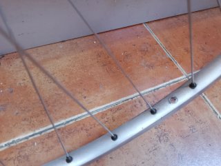 Ruedas Campagnolo Mavic