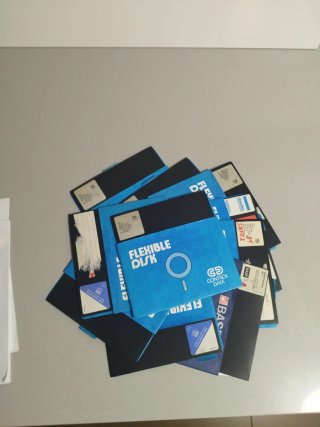10 Disquetes 8" + Archivador Flexible Disk