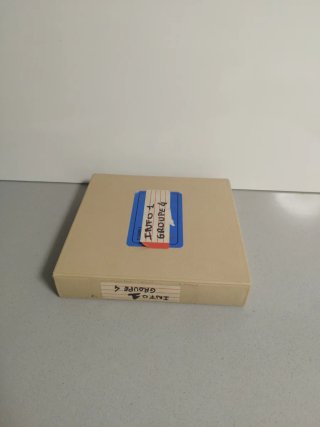 10 Disquetes 8" + Archivador Flexible Disk