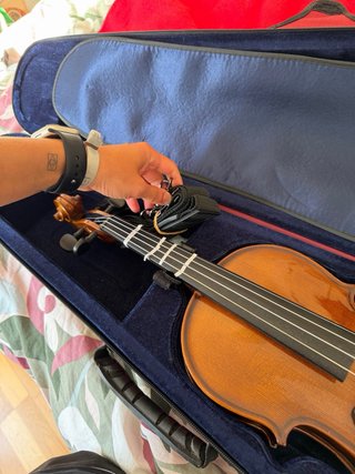 Violin Stentor